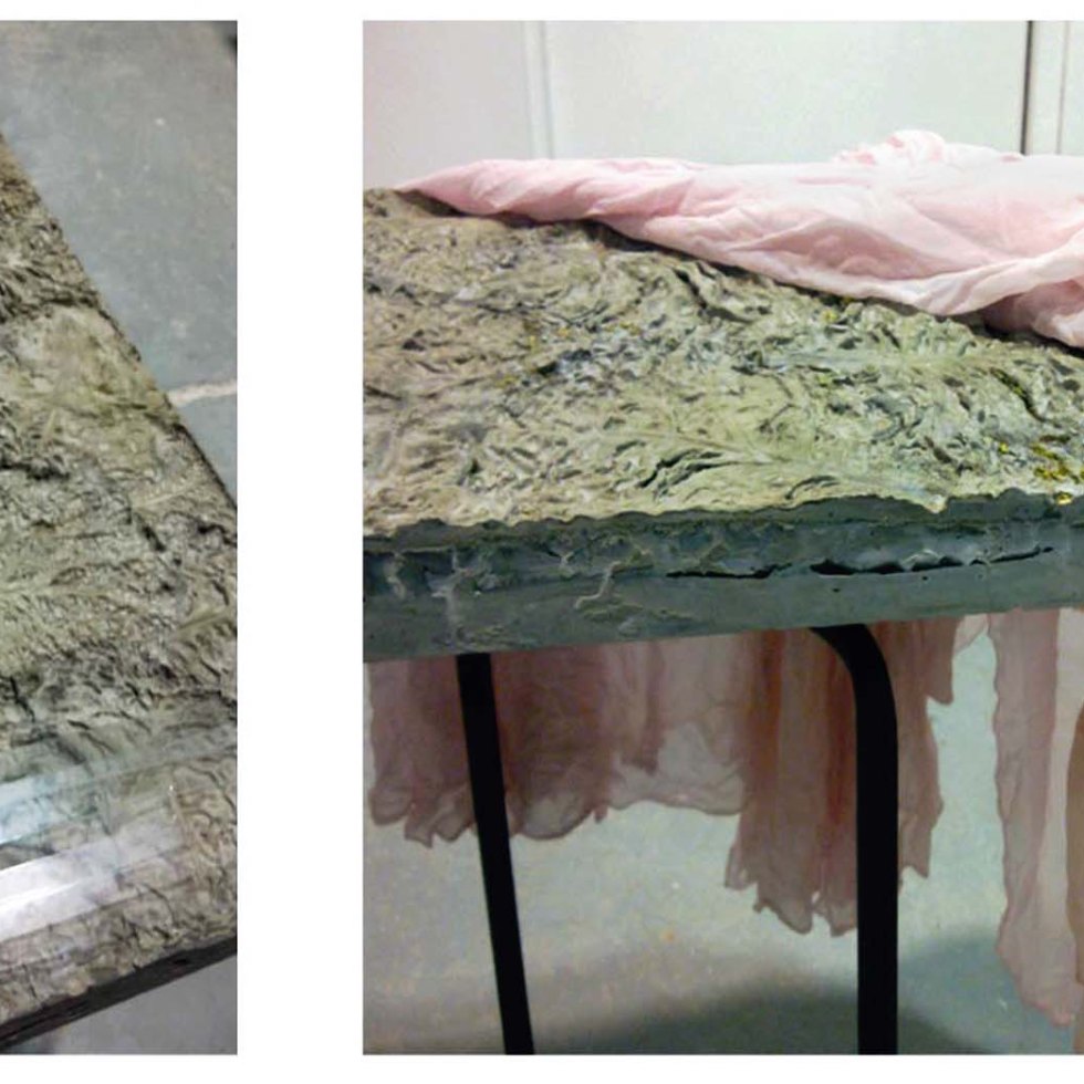 wendy hardie 2011 'underside (cast concrete, cabbage, glass, silk, steel)'