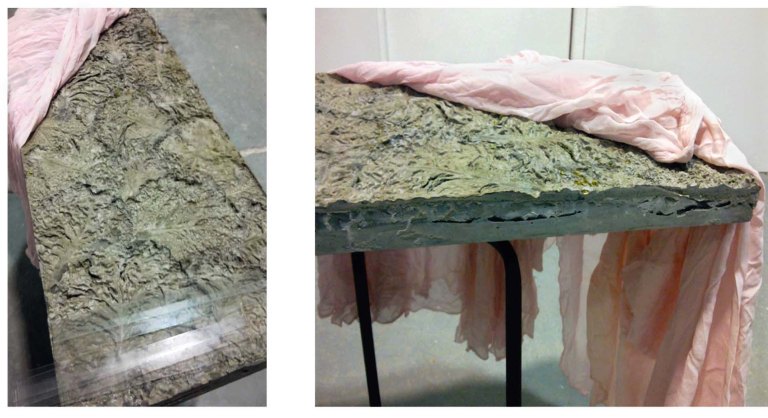 wendy hardie 2011 'underside (cast concrete, cabbage, glass, silk, steel)'