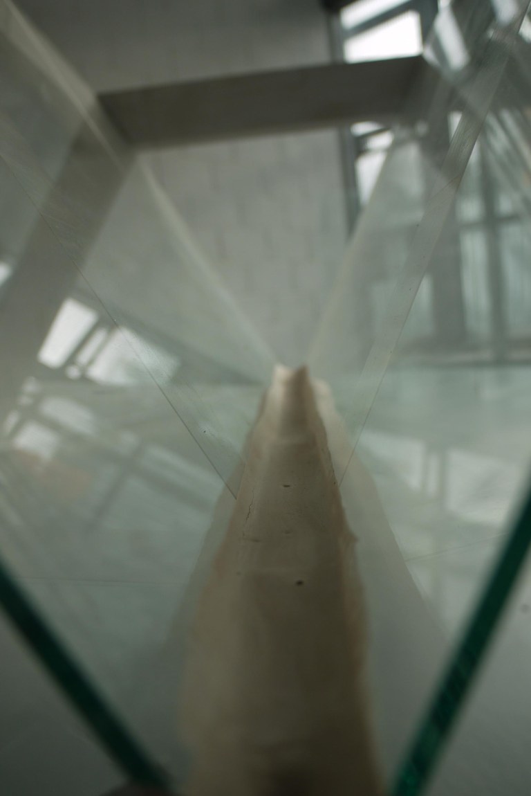 Wendy Hardie 'from the first deep breath' Img9