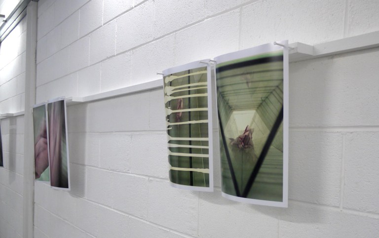 Wendy Hardie Photographic Diptychs 2013