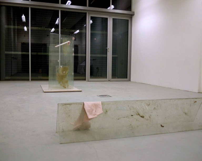 Wendy Hardie Untitled Works Toughened Glass, Silk, Silicon, Timber, Clay Slip, Dirt, Earth, Lichen, Cellotape, Carpet. 2012 e