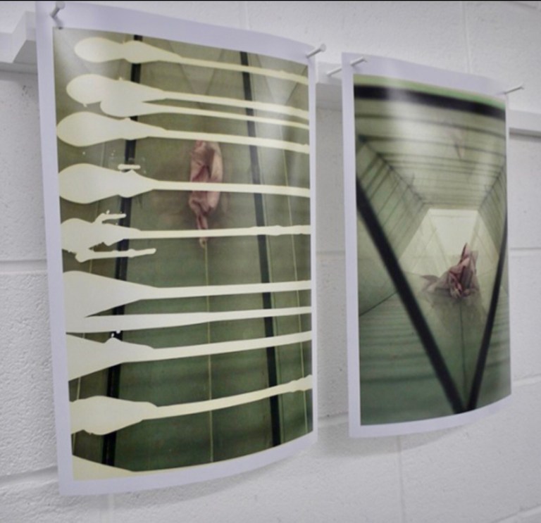 Wendy Hardie Photographic Diptych - ‘from the first deep breath’ exhibition 2013