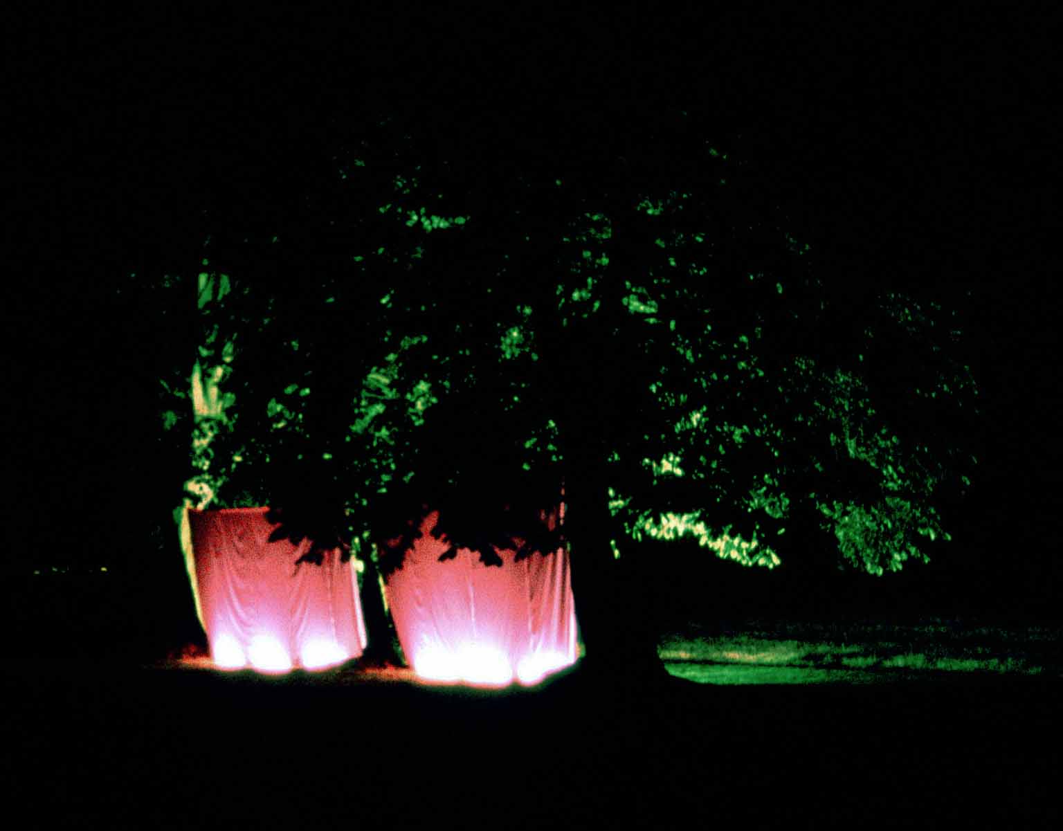 Incubators 2002 by artist Wendy Hardie, from her Series Nature Nurture 1998-2002, Perthshire, Scotland