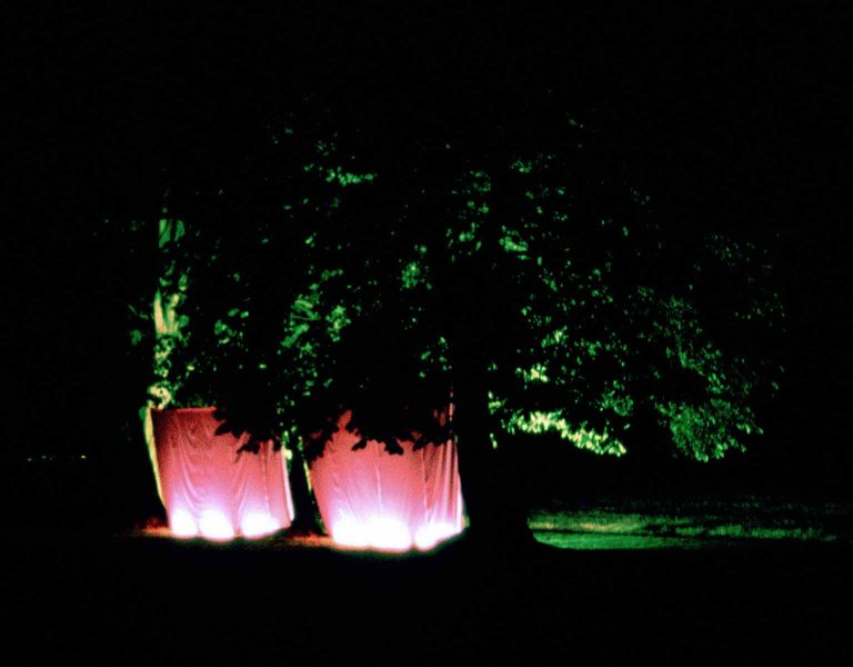 Incubators 2002 by artist Wendy Hardie, from her Series Nature Nurture 1998-2002, Perthshire, Scotland
