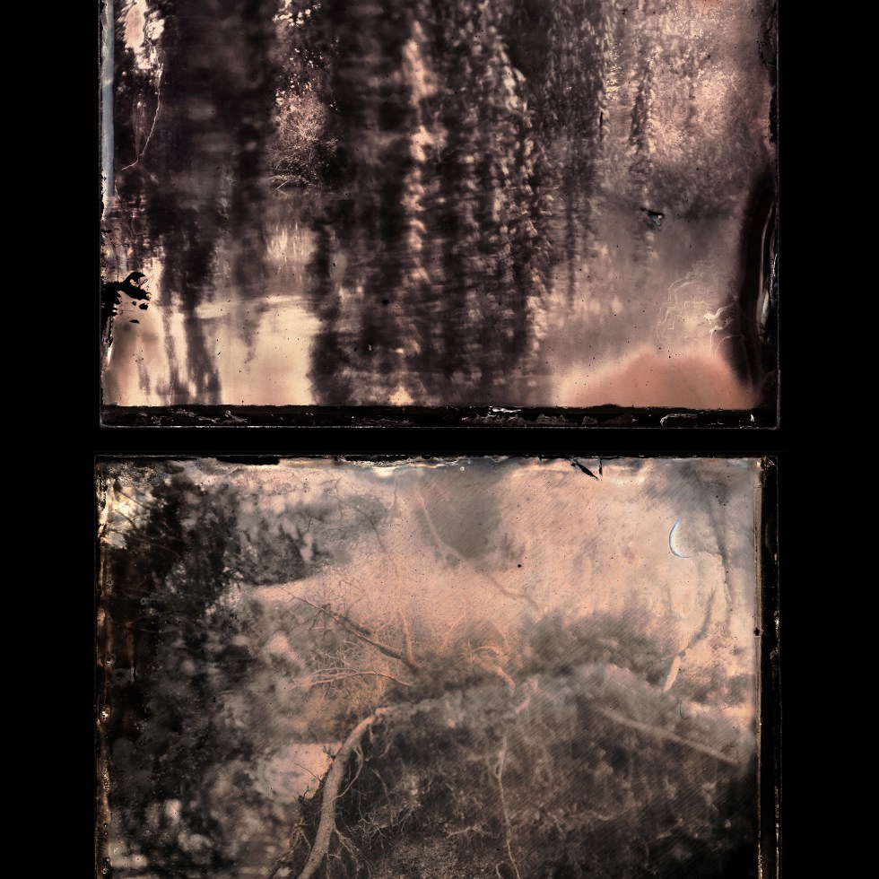 Fine Art Photography Diptych by artist Wendy Hardie exploring environmental themes