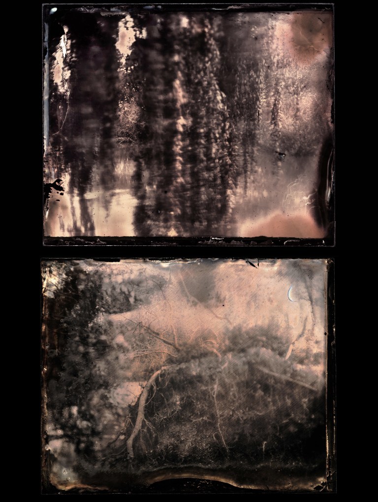 Fine Art Photography Diptych by artist Wendy Hardie exploring environmental themes
