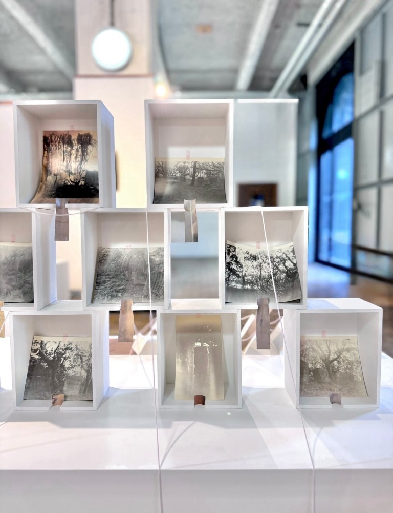 A detail view of artist Wendy Hardie’s expanded photographic installation ‘folding, faulting, uplift (broken chain)’ Iteration 1, exhibited at the ‘The Active Image: Political ecologies & Photographic Agency’ curated by The Sustainable Darkroom & Folkhouse Darkroom. Create, Bristol, Sept 5- Oct 1, 2024.